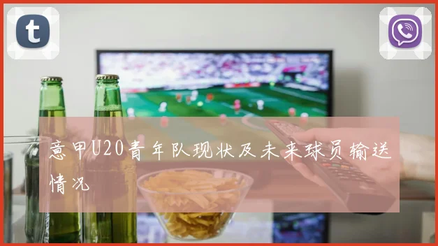 意甲U20青年队现状及未来球员输送情况