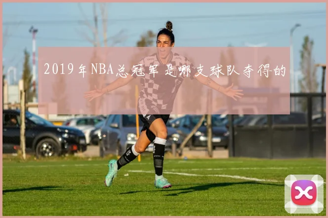 2019年NBA总冠军是哪支球队夺得的