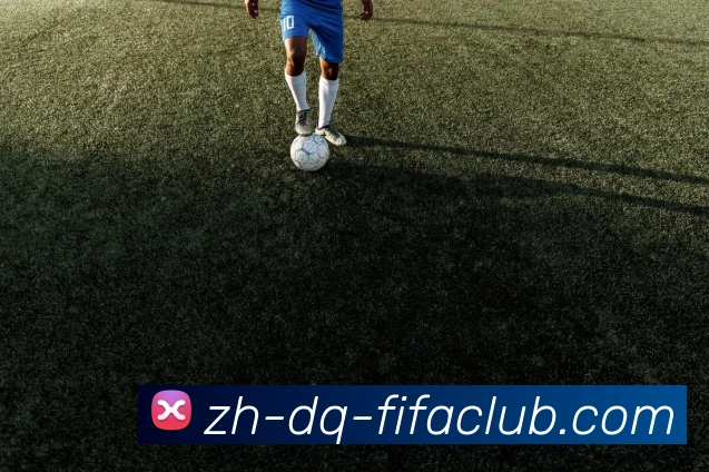 世界杯直播平台生态图